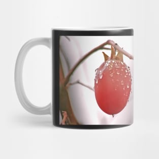 The Last Persimmon Mug